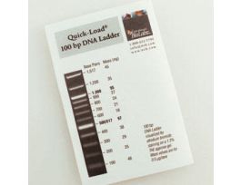 QUICK-LOAD 100 BP DNA LADDER