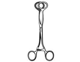 JUDD MARTEL GALL BLDR FCP 6.5IN