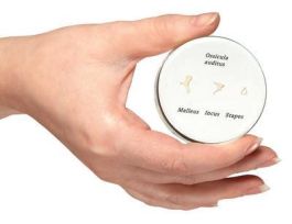 MODEL LIFE-SIZE AUDITORY OSSICLES