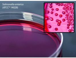 MEDIUM M ENDO LES AGR 15X100MM PLTD PK10