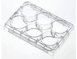 VWR 24 WELL PLATE CELL ATTACHMENT TREATE