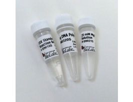 TAQ DNA POLYMERASE WITH STANDA