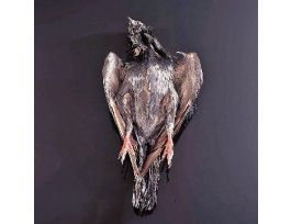 DOUBLE INJECTED PIGEON VACPK/1 PM