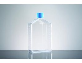 FLASK T175 ECM MIME FIBRO CS10.