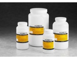 BIOMAX BASIC AGAROSE - 5KG