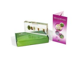 EMBEDMENT SILKWORM LIFE CYCLE