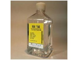 50X TAE BUFFER 10L