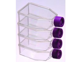 VWR FLASK TISSUE CULTURE 50ML VENT CAP