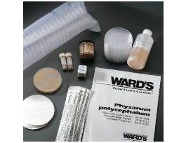 KIT SLIME MOLD CULT. HAS LM COUPON