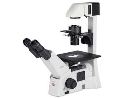 Inverted Binocular Microscope, LED or Halogen, 40 to 400X; 100-240 VAC
