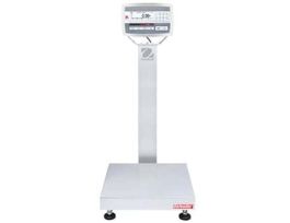 Defender 5000 Scale with S/S Indicator, Base Style Square , 100x0.005lb