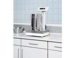 Display Holder for Cubis High Capacity = 20kg, 100mg and 1g Balances